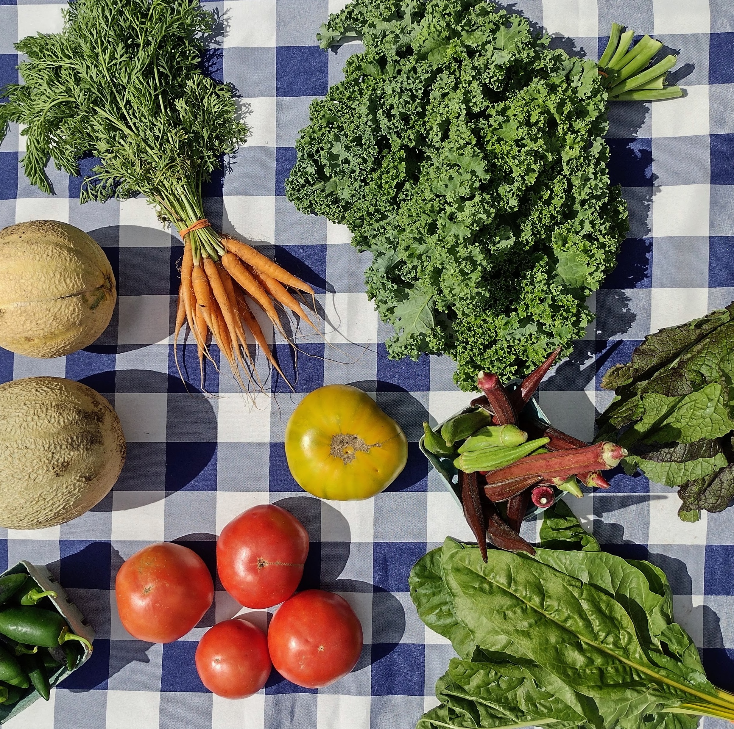 Medium Veggie Sampler