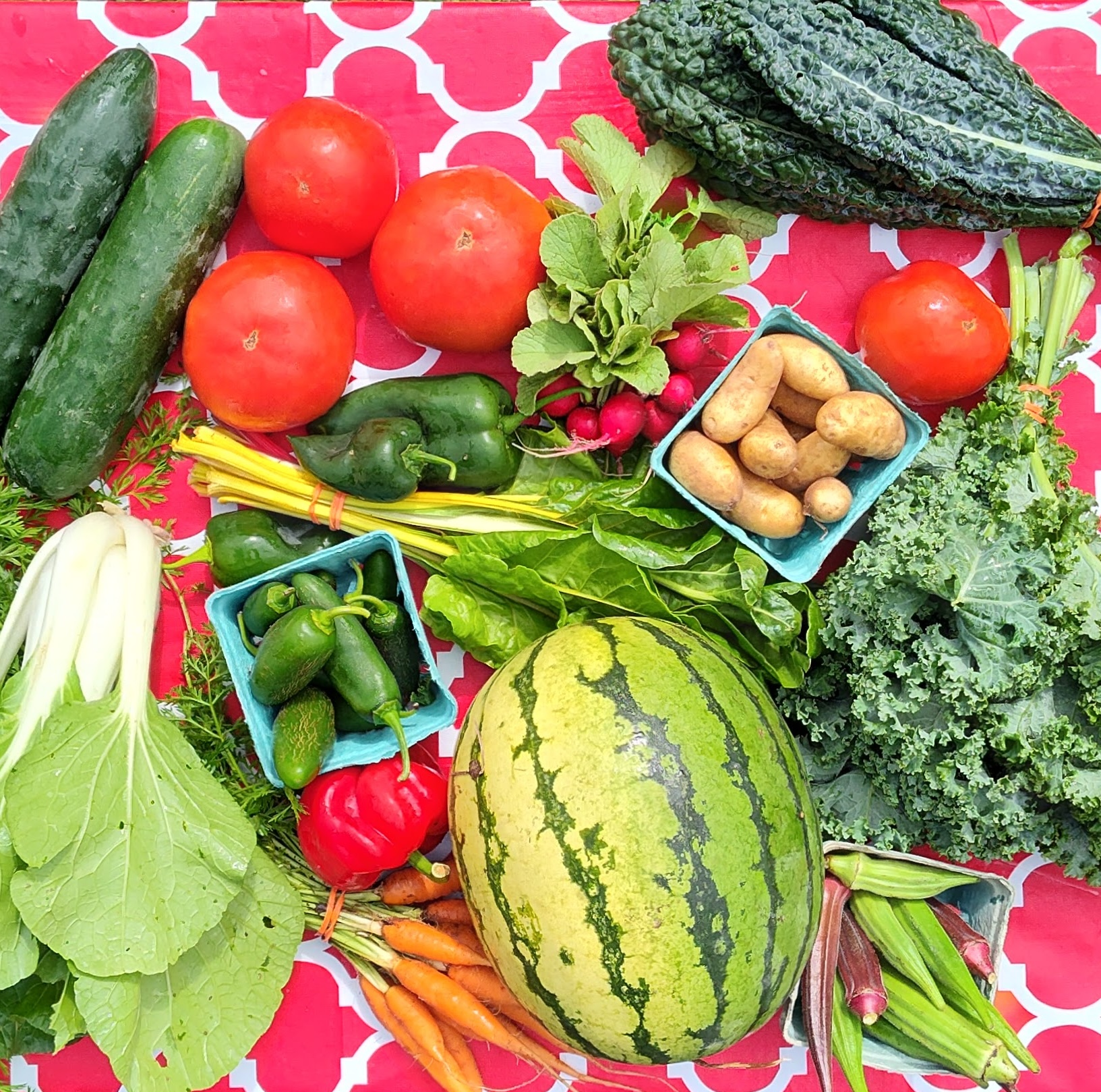 Large Veggie Sampler